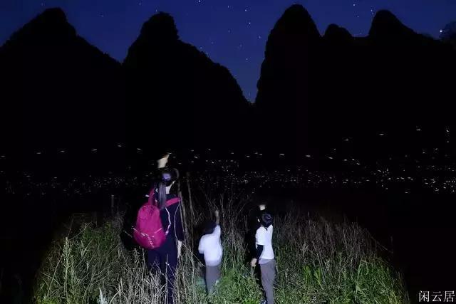 救援男孩与狗